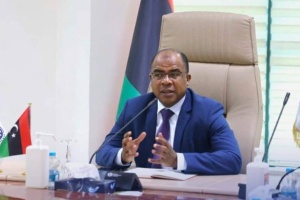 Ministry of Oil and Gas under new management after minister's suspension