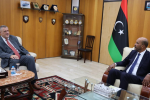 Al-Koni, Kubis stress need to develop strategy for evacuating foreign fighters from Libya