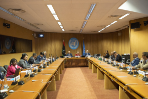 Libyan HoR, HCS constitutional meetings kick off in Geneva