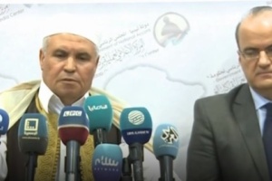 Libyan official: Haftar's Tripoli offensive destabilized state institutions' work