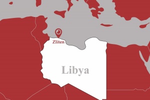 Leishmaniasis warning issued in Libya’s Zliten