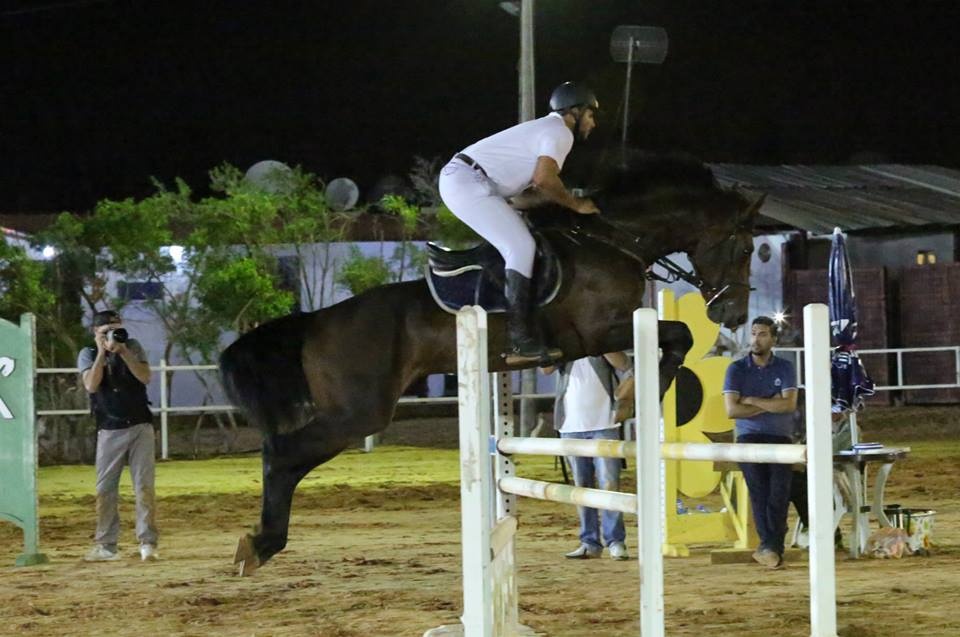  Qadisiyah Show Jumping Championship. Tripoli, August 27, 2015. Source: Sports Ministry 