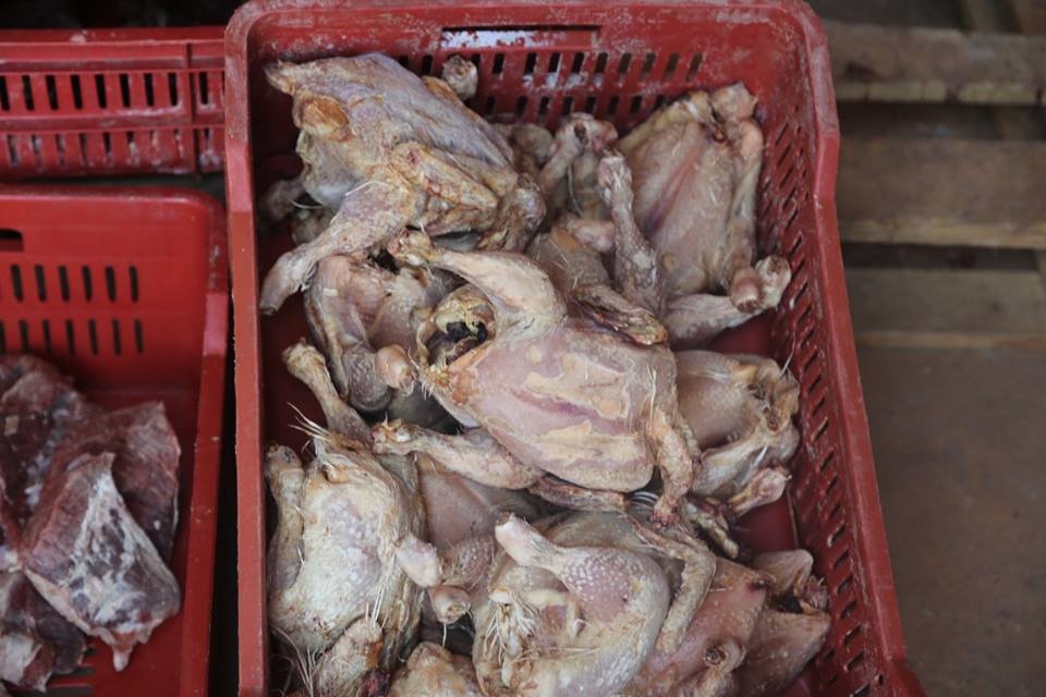 Egyptians arrested while preparing inedible rotten meat for sale. Tajoura, June 11, 2015. Photos: Tajoura Municipal Guard